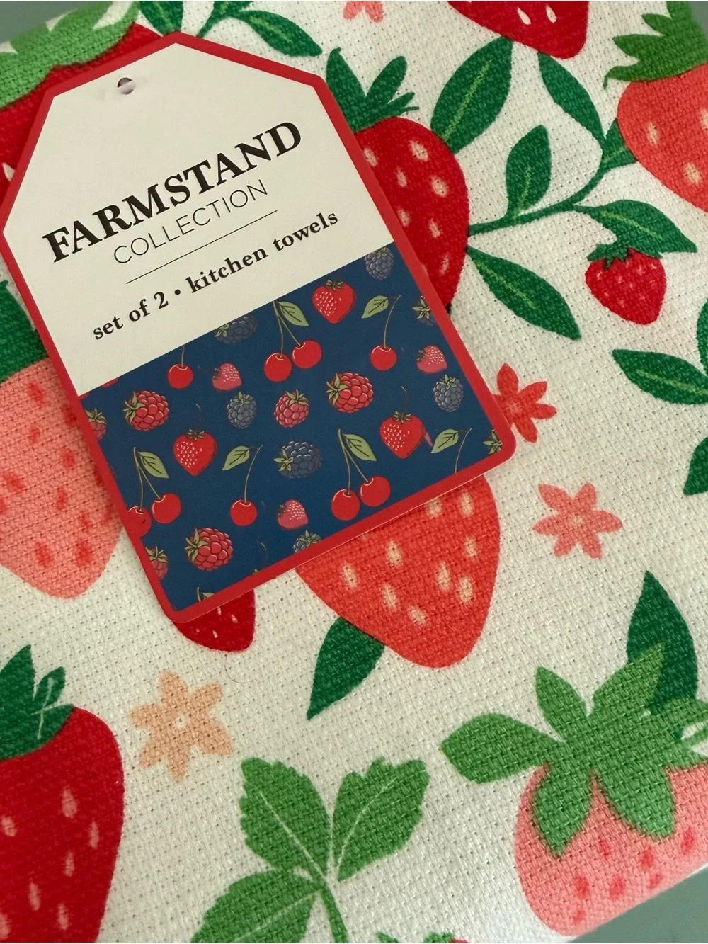 Strawberry cotton dish towels set of two